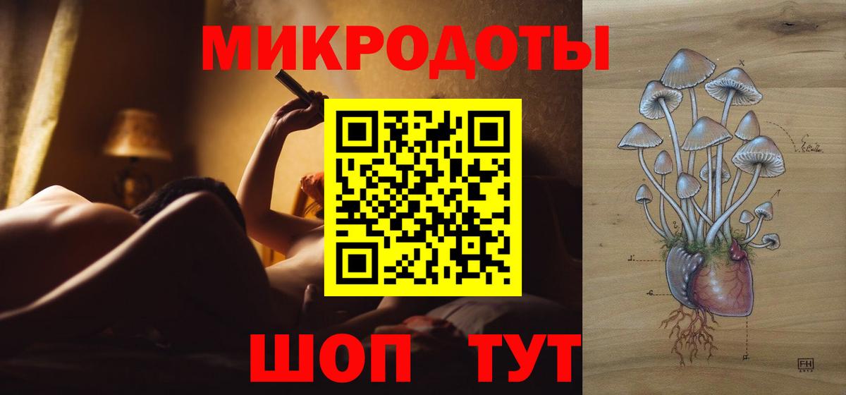 наркота  Анапа  Галлюциногенные грибы GOLDEN TEACHER 